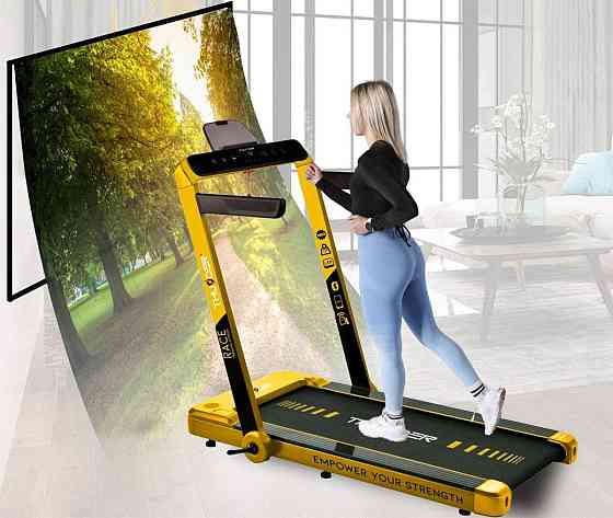 Беговая дорожка электрическая THUNDER RACE-GOLD Киев