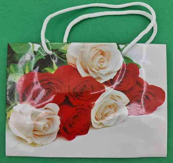 Пакет паперовий малий горизонтальний 11/18/5 (арт М010) (12 шт.) Харків