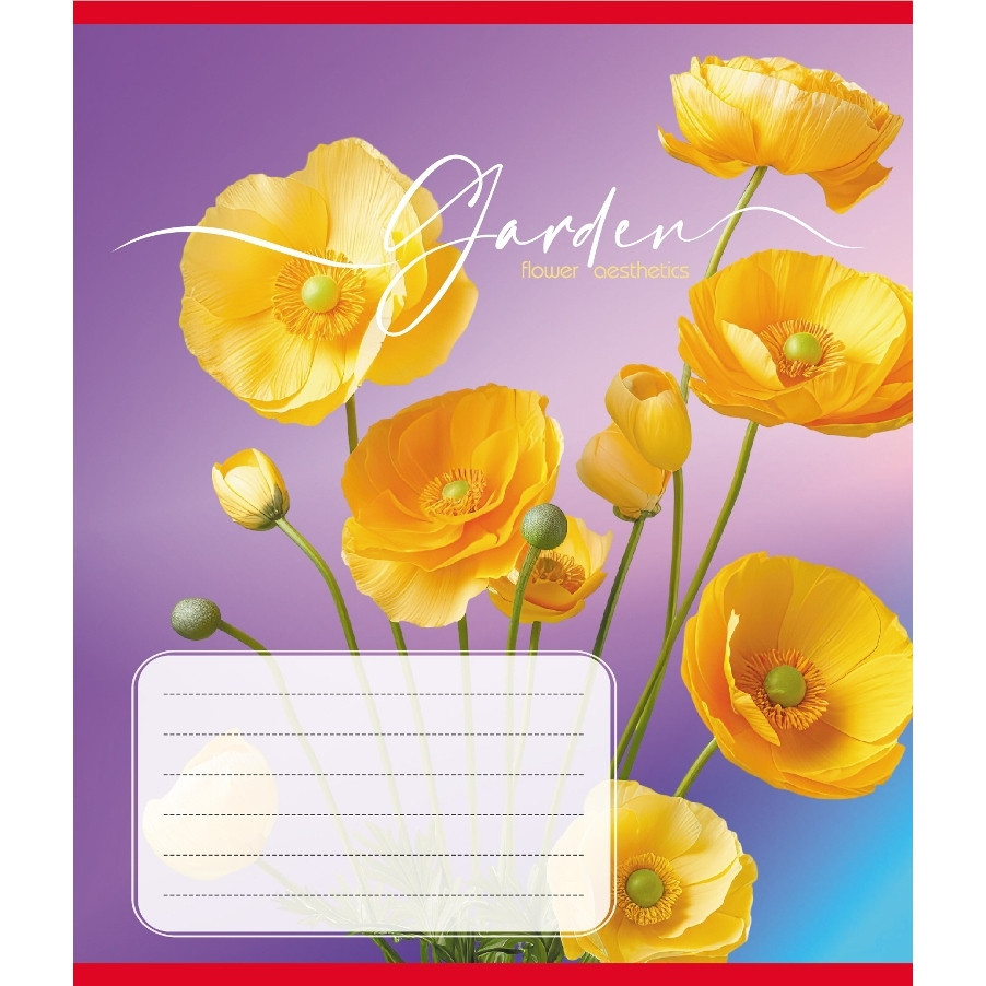 Зошит учнівський "Естетика" 024-550443K-2 в клітинку, 24 аркуші Вінниця - фото 1