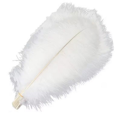 Страусине пір'я біле 10 шт Київ - фото 1