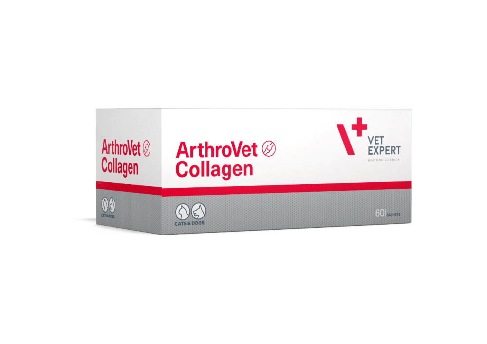 Харчова добавка для собак і кішок ArthroVet Collagen (АртроВет Колаген) - підтримка, захист суглобів, 60 саше Вінниця - фото 1