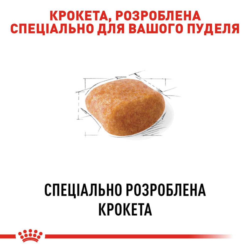 Корм для дорослих собак породи Пудель ROYAL CANIN POODLE ADULT 0.5 кг Київ - фото 4