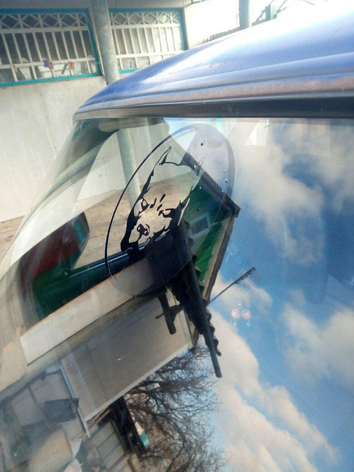 Наклейка на авто Пітбуль Велика Біла світловідбивка Київ - фото 7