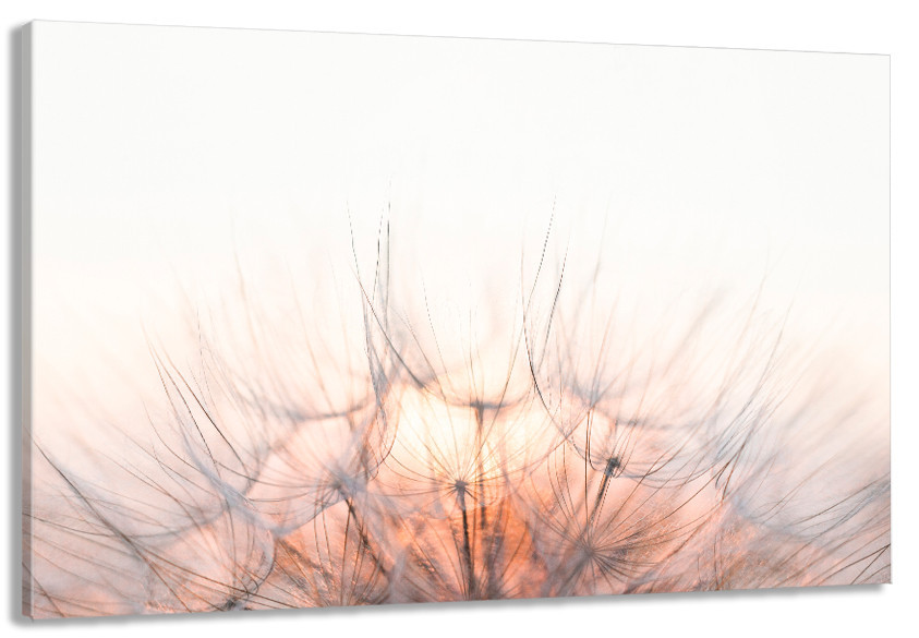 Картина полотно у вітальню / спальню    Куль-Баба   MLP_200   ( 60х30см ) 60x100 см Київ - фото 1