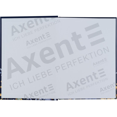 Книга записная Axent UA Украинцы А5 клетка твердая обложка 96 листов (8455-1-A) Винница - изображение 3