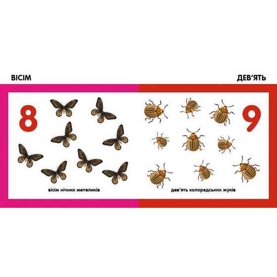 Дитяча смарт-книжечка "Лічимо комах" 944010, 24 сторінки Вінниця