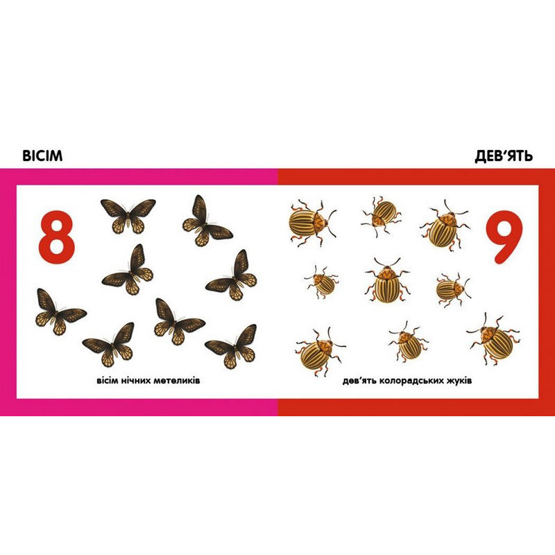 Дитяча смарт-книжечка "Лічимо комах" 944010, 24 сторінки Вінниця - фото 2