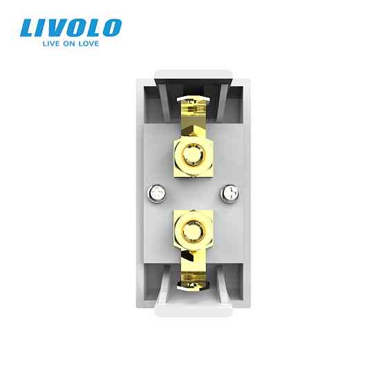 Аудіо розетка LIVOLO Banana Plug, сіра, для колонок / підсилювача, модуль 0.5 поста(VL-FCSD-1IP) Коломыя