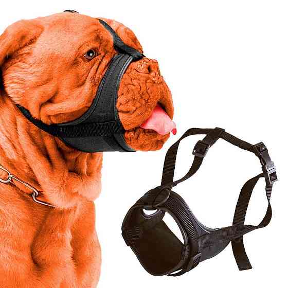 Регульований намордник з м'якою підкладкою Ferplast Safe Boxer (Ферпласт Сейф Боксер) Запоріжжя