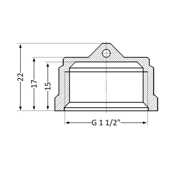 Заглушка Thermo Alliance Standart 1 1/2" ВР SD40240 Київ