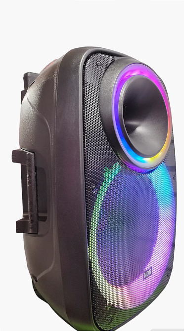 Профессиональная Bluetooth колонкa NDR-A55 15-дюймовая с беспроводным микрофоном Винница - изображение 4