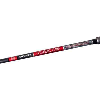 Вудилище Brain Classic Carp 4.20m 4.5lbs 3sec. (1858.44.55) Вінниця