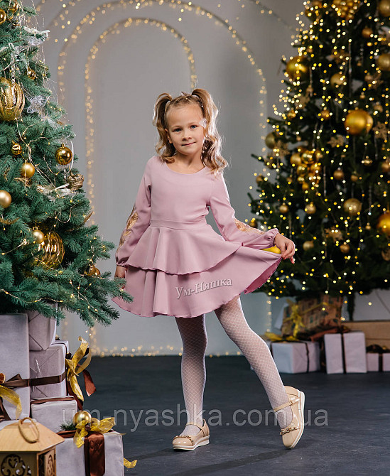 Дитяче плаття з вишивкою на рукавах Поділля-колоски Кривий Ріг - фото 10