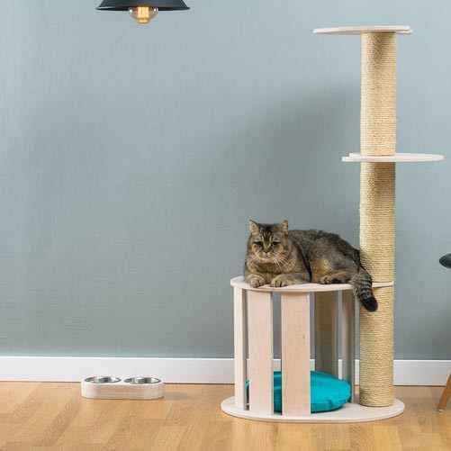 Игровой комплекс для кошек 