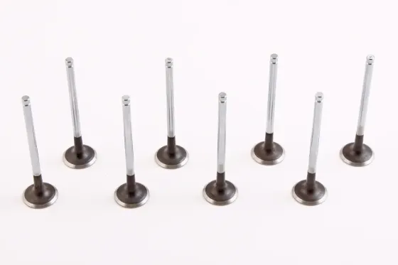 Клапана Aveo 1.6 Shin Han выпускные (Lacetti) (8 шт.) Винница