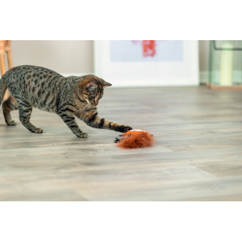 Іграшка Trixie для котів Білка плюш з пір ям і котячою м ятою 24 см Київ - фото 3