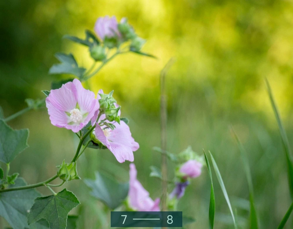 Фотоаппарат: Canon EOS 100D Body. Харьков - изображение 6