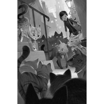 Книга Опівнічні Коти. Школа фелідіксів. Книга 1 - Барбара Лабан Видавництво РМ (9786178373276) Вінниця - фото 6