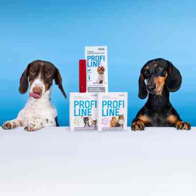 Ошейник для животных ProVET Profiline инсектоакарицид 35 см фуксия (4823082430956) Винница