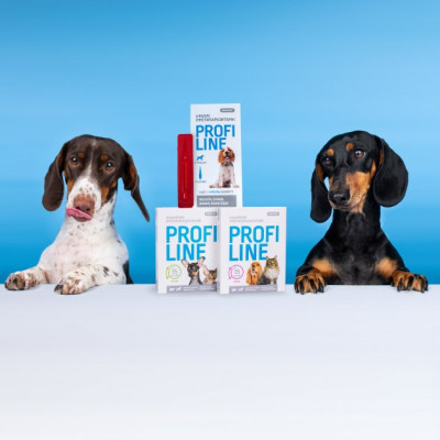 Ошейник для животных ProVET Profiline инсектоакарицид 35 см фуксия (4823082430956) Винница - изображение 5