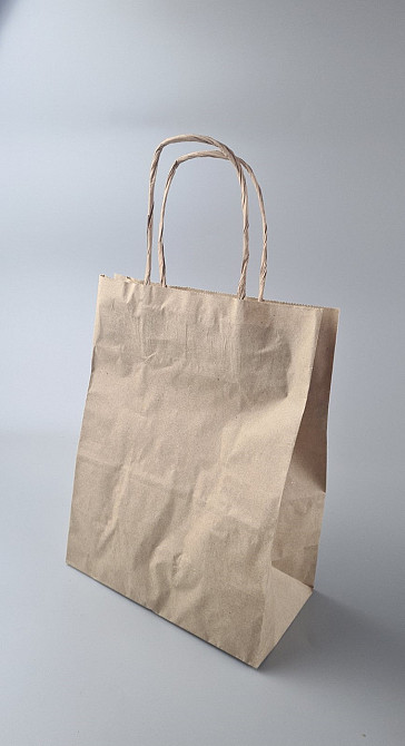 Пакет с ручками бумажный крафт бурий 220х120х290, 50г/м2 (25 шт) Харьков - изображение 1