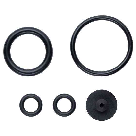 Flora Опрыскиватель пневматический 5л FLORA (5003224) Київ