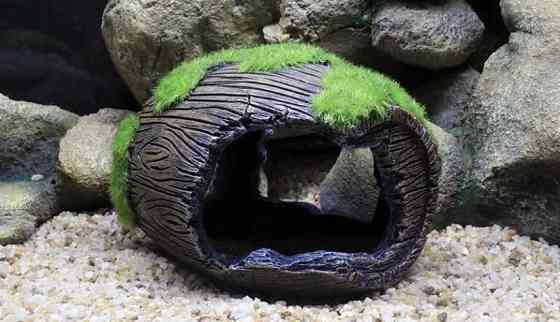 Декор для акваріума "Затонувший бочка з мохом" - розмір 7 на 8 см, смола, акваріумний декор коричневий Київ