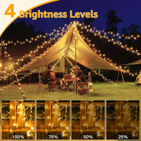 Вулична LED-гірлянда Ollny 40 м 400 LED, теплий білий, пульт, таймер, 8 режимів, IP44, 31 В Київ