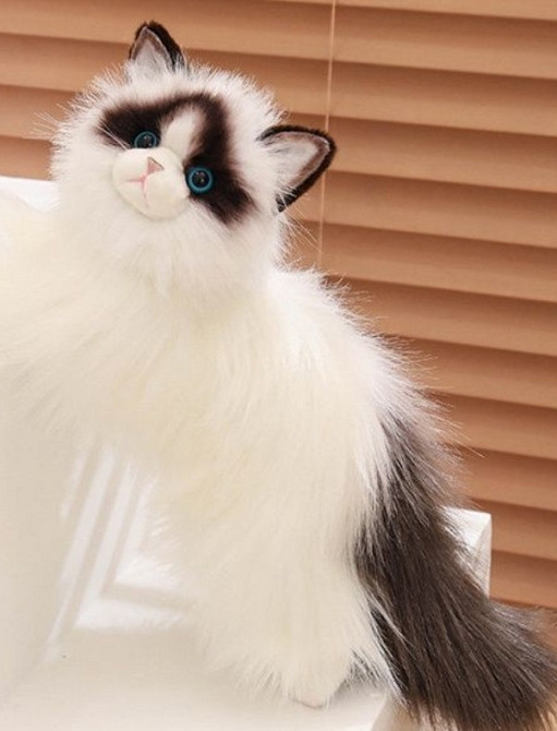 Найкраща преміум реалістична м'яка модель кішки 48 см як жива. Харків - фото 1