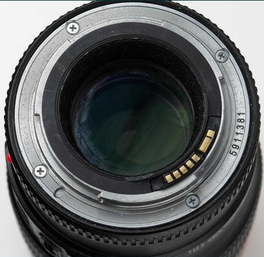 Объектив Стоматология, Природа Canon EF 100mm. F/2.8L Macro IS USM Киев - изображение 4