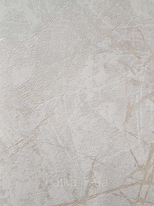 Шпалери вінілові на флізеліні метрові Sintra Edelina під штукатурку під бетон структурні білі світло-сірі золотисті Київ - фото 1