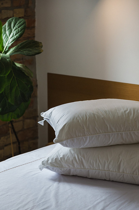 Ecotton Подушка Ecotton 50х70 см Ecofill Premium антиалергенна з біопухом біла в чохлі для збер Киев - изображение 8