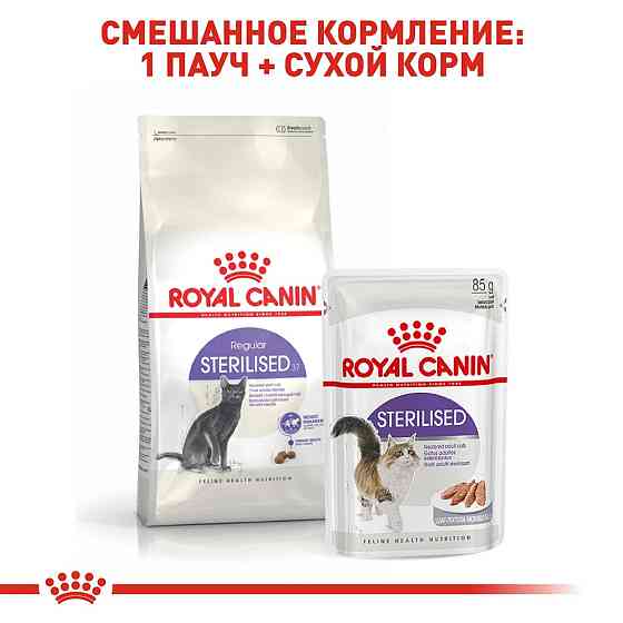 Royal Canin Sterilised 37 (Роял Канін Стерелайзд) сухий корм для стерилізованих кішок від 12 місяців до 7 років Запоріжжя
