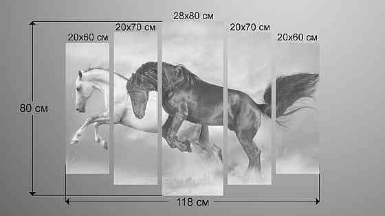 Модульна картина Коні Art-39_5 Київ