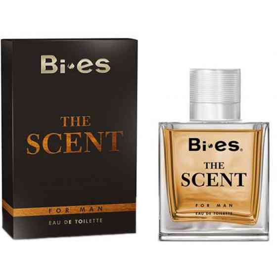 Туалетна вода чоловіча Bi-Es The Scent 100 мл Бі єс Сцент Запоріжжя