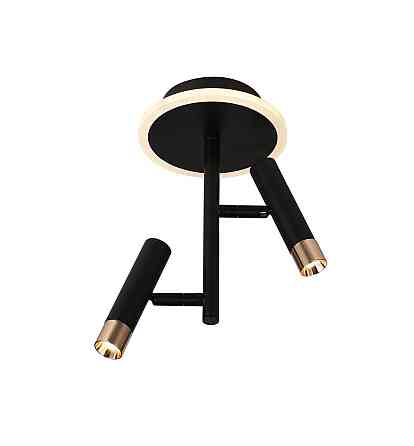 VALESO Стельовий світлодіодний світильник G 2917/2 16W Чорний+Золото Коломия