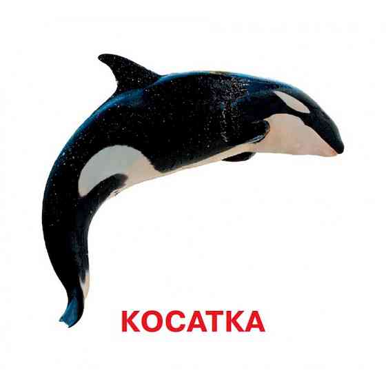 Развивающие карточки для детей Кто в воде живет J802у, 18 картинок Винница