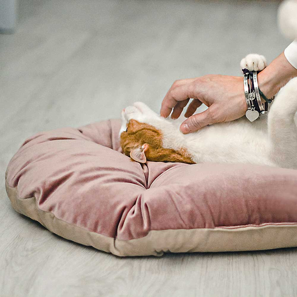 Лежак - подушка для кошек и собак Ferplast Prince (Ферпласт Принц) 65 х 42 см - PRINCE 65/6, Синий Запорожье - изображение 5