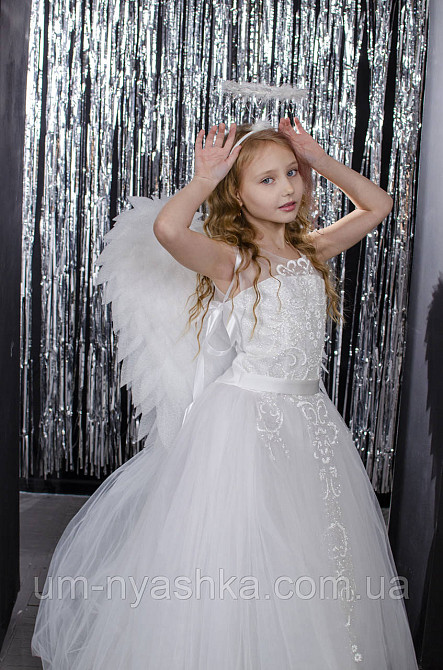 Крылья Ангела большие сердцем Кривой Рог - изображение 7