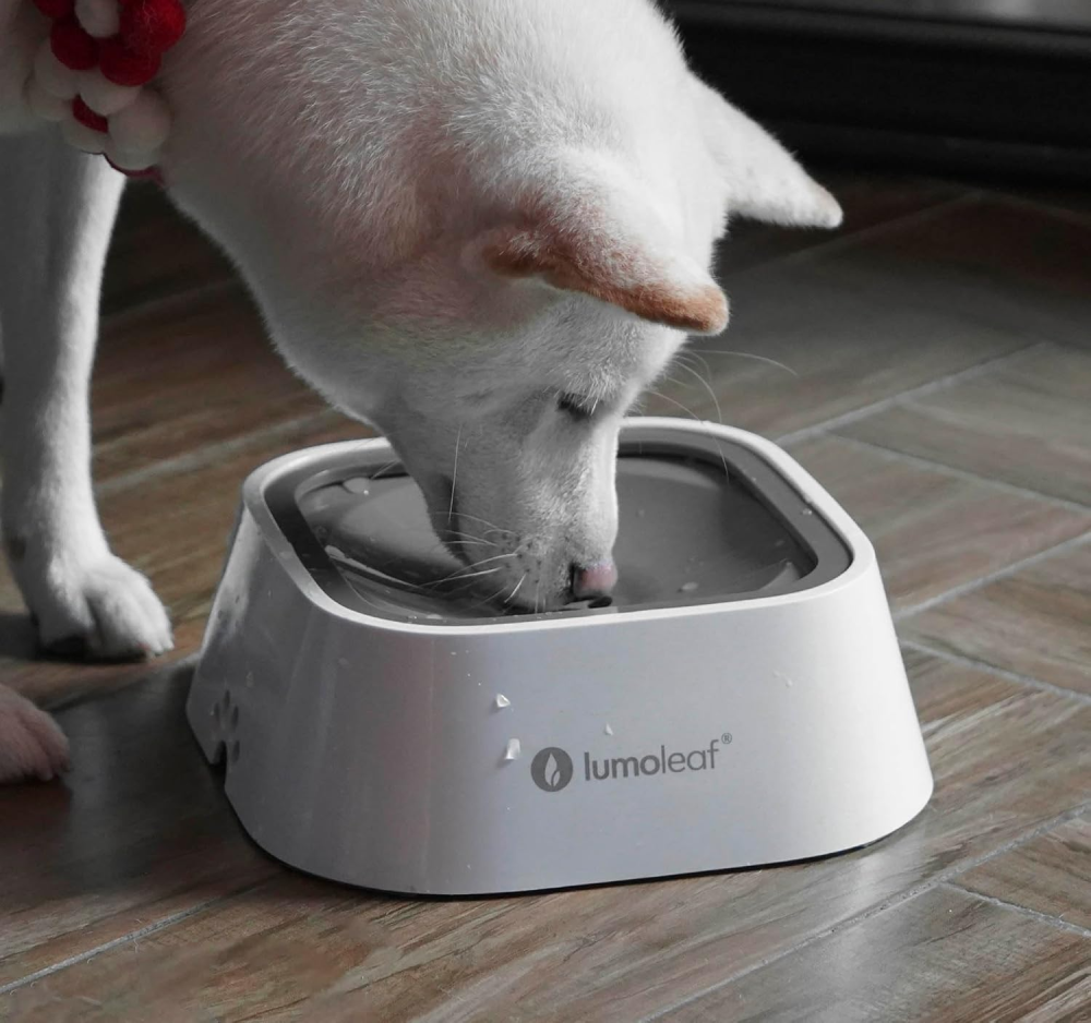Непроливаюча миска для тварин LumoLeaf Луцк - изображение 1