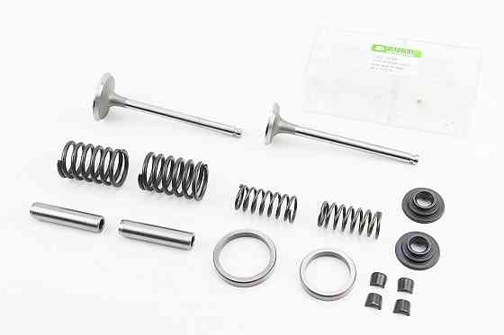 Клапан впускний (h-120; D-42; d-7,95), випускний (h-120; D-36; d-7,95) + клапанний механізм к-кт R195NM Киев