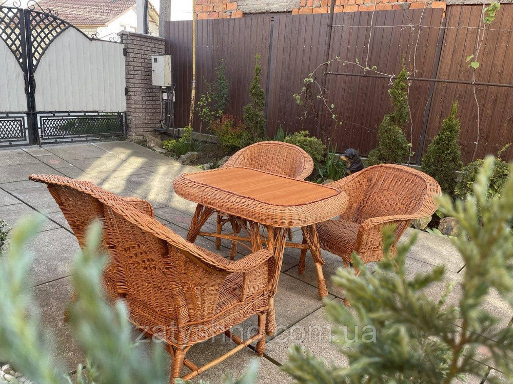 Плетені меблі з лози з диваном Київ - фото 3
