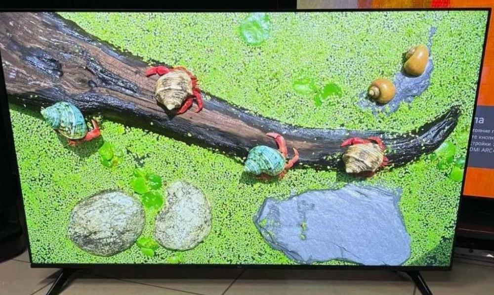 Телевизор Безрамный: 65