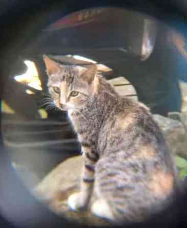 Бинокль мощный 500 Київ