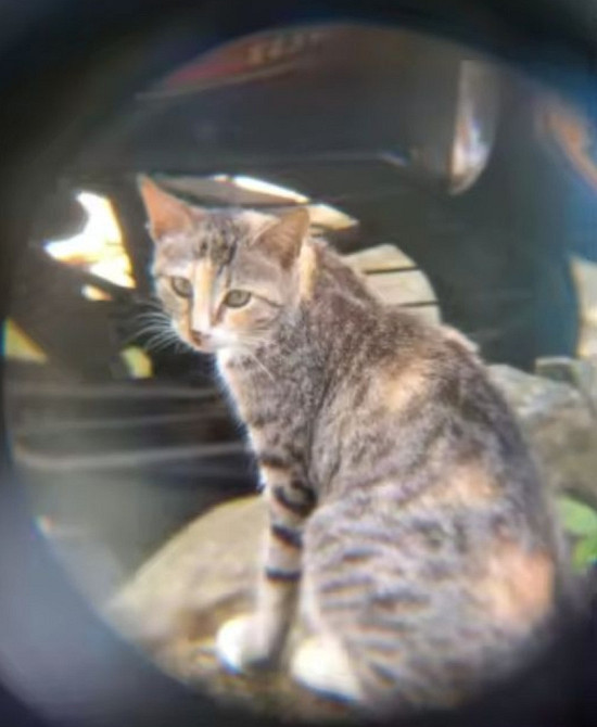 Бинокль мощный 500 Київ - фото 1