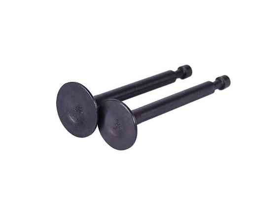 Клапаны (пара, голые) мотоблок P65F Мукачево