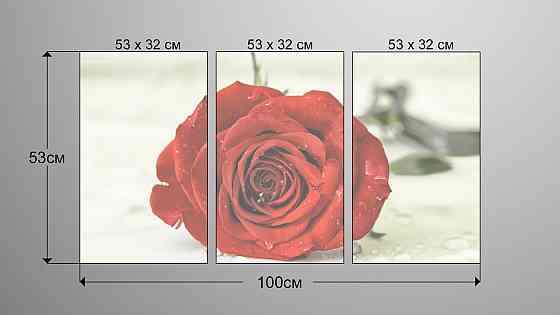 Модульная картина Роза Цветы Art-27_3А Киев