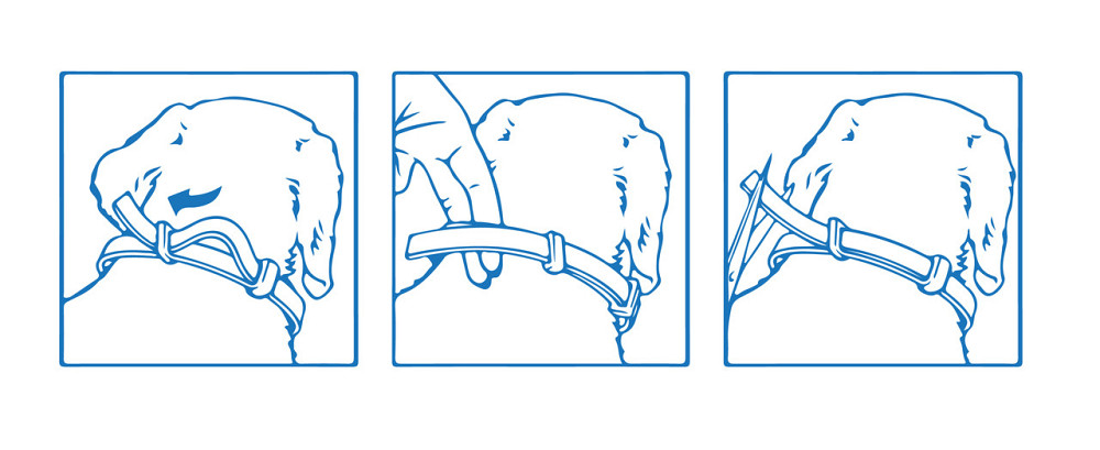 Ошейник Foresto (Форесто) 38 см  для кошек и собак мелких пород Elanco (срок до 05.2028 г) Киев - изображение 4