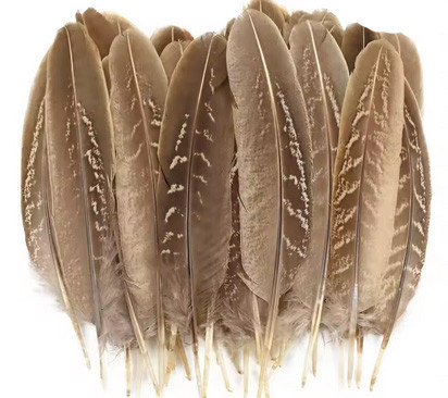Пір'я фазана натуральні 20 шт Київ - фото 1