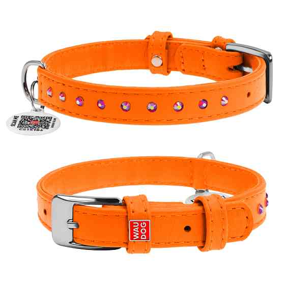 Нашийник для собак шкіряний WAUDOG Glamour з QR паспортом, з клейовими стразами, Ш 15 мм, Дов 2 Коломыя